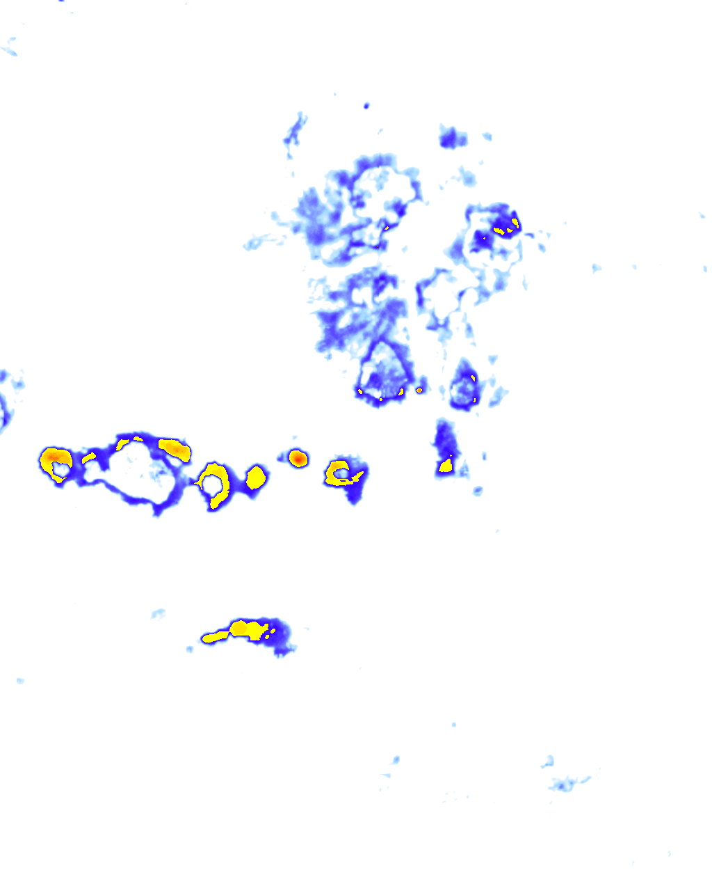 Image Layer