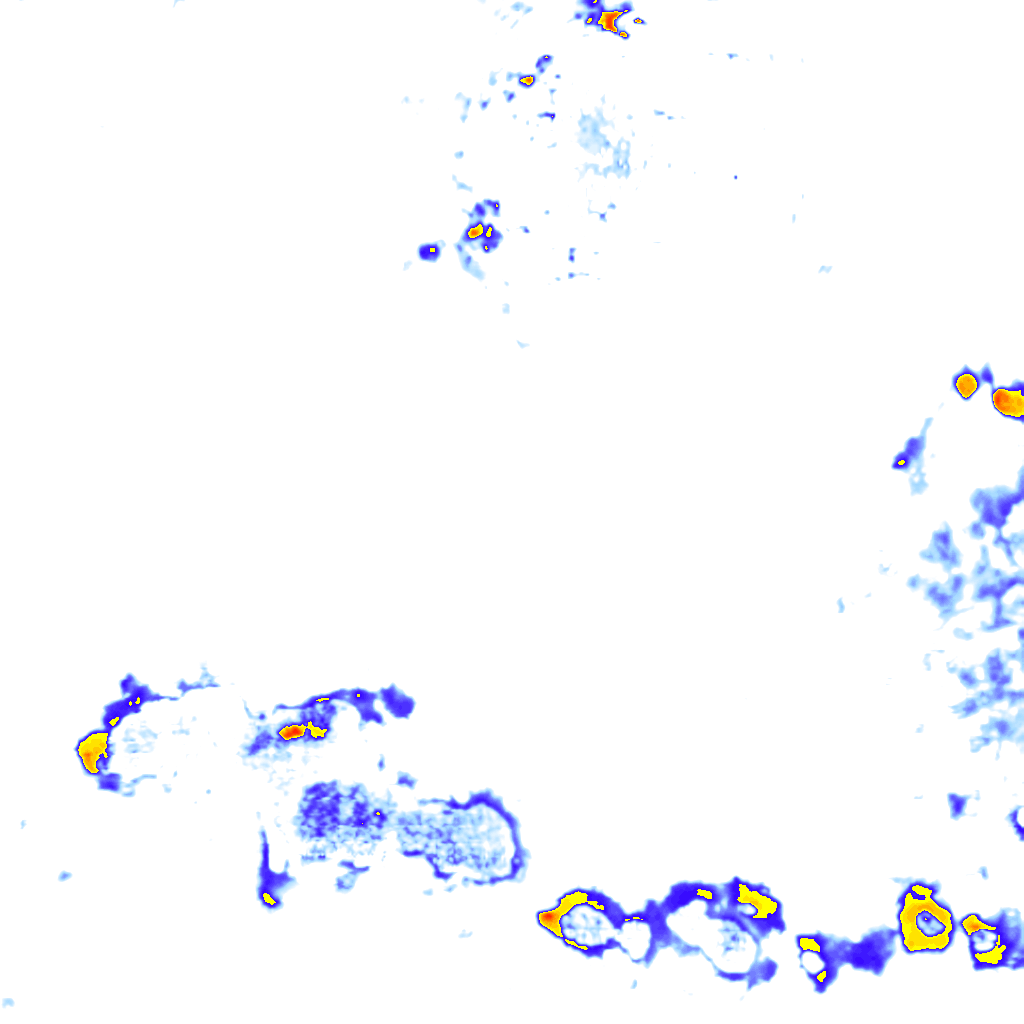 Image Layer