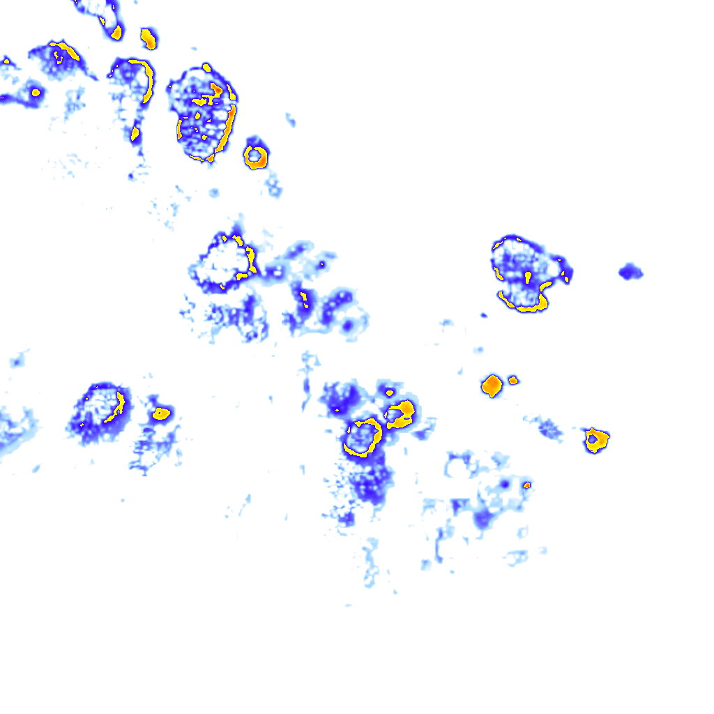 Image Layer