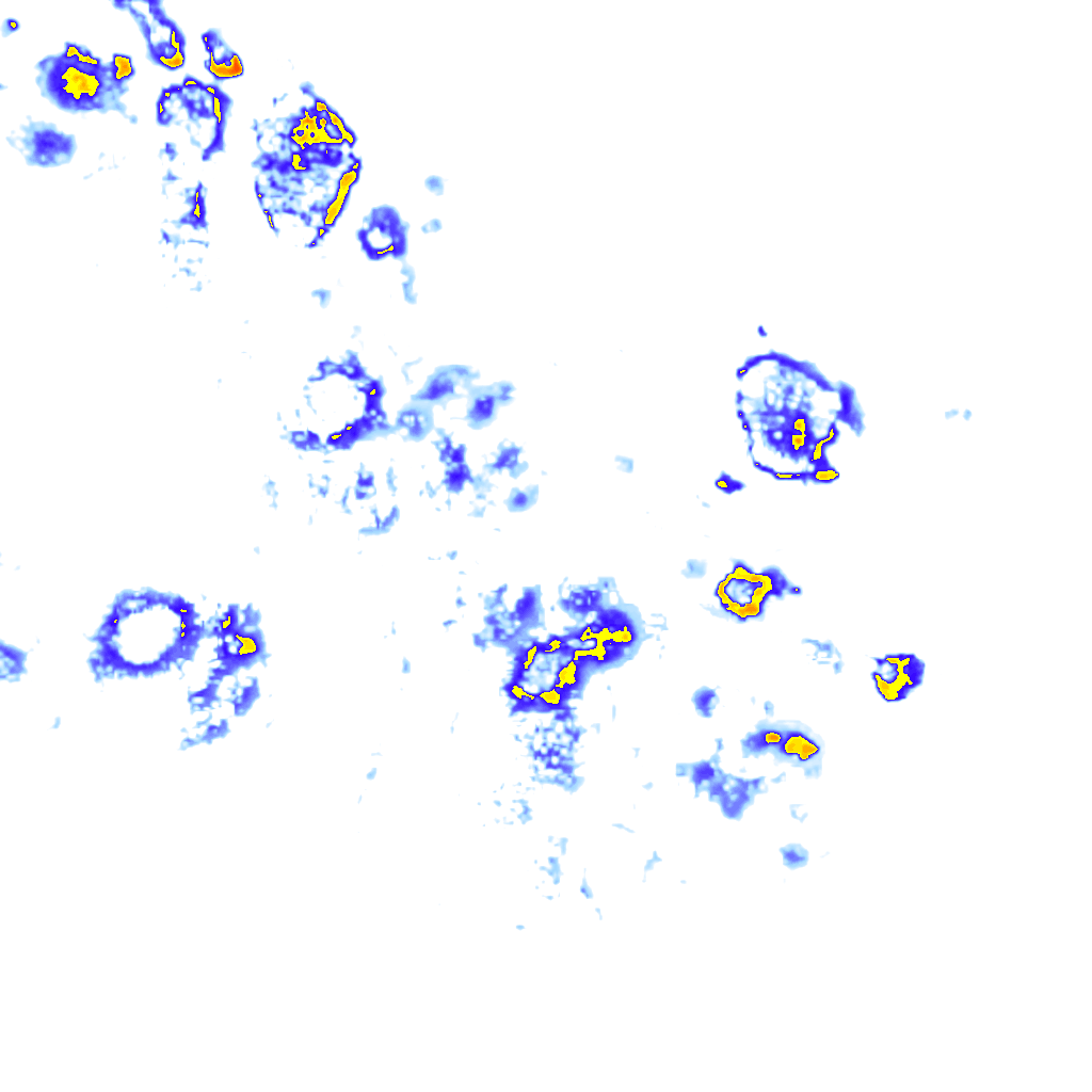 rainLayer