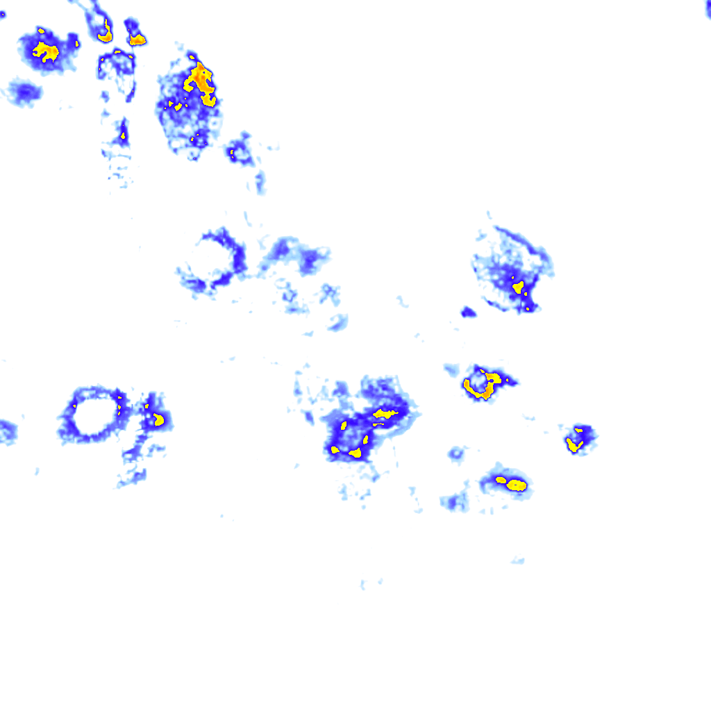 Image Layer