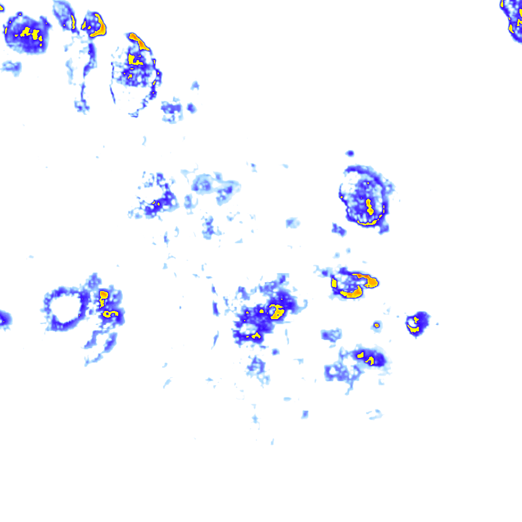 Image Layer