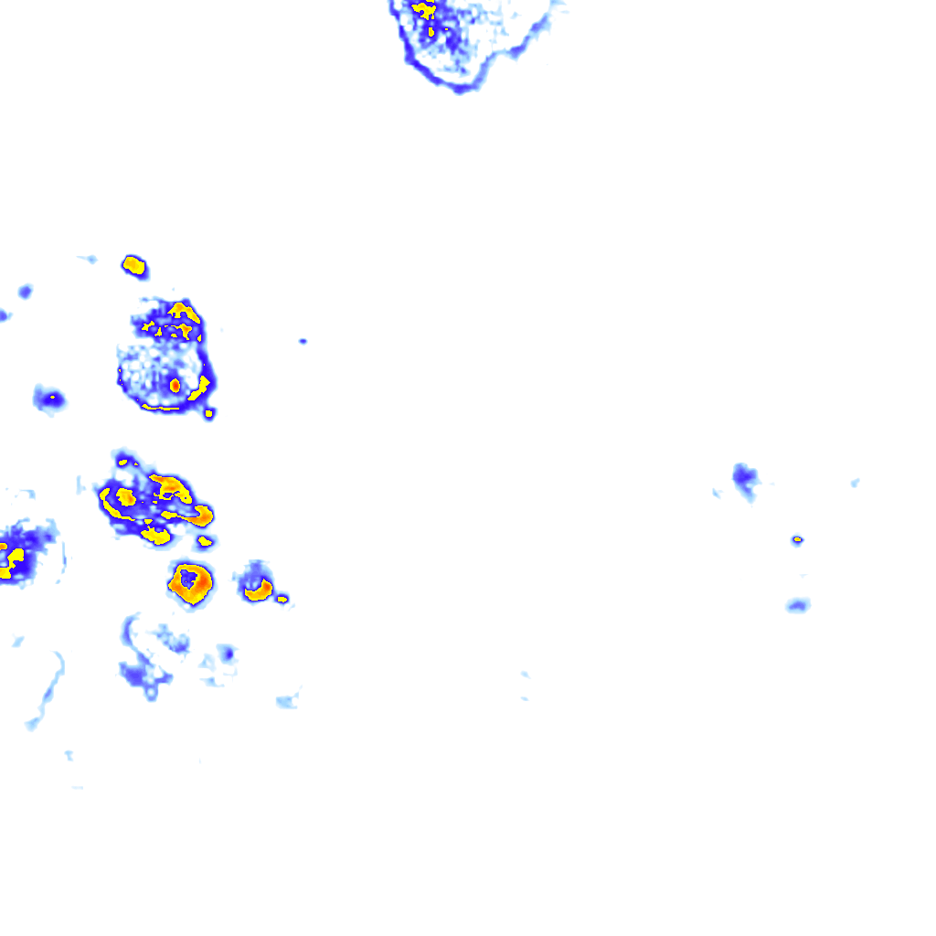 Image Layer