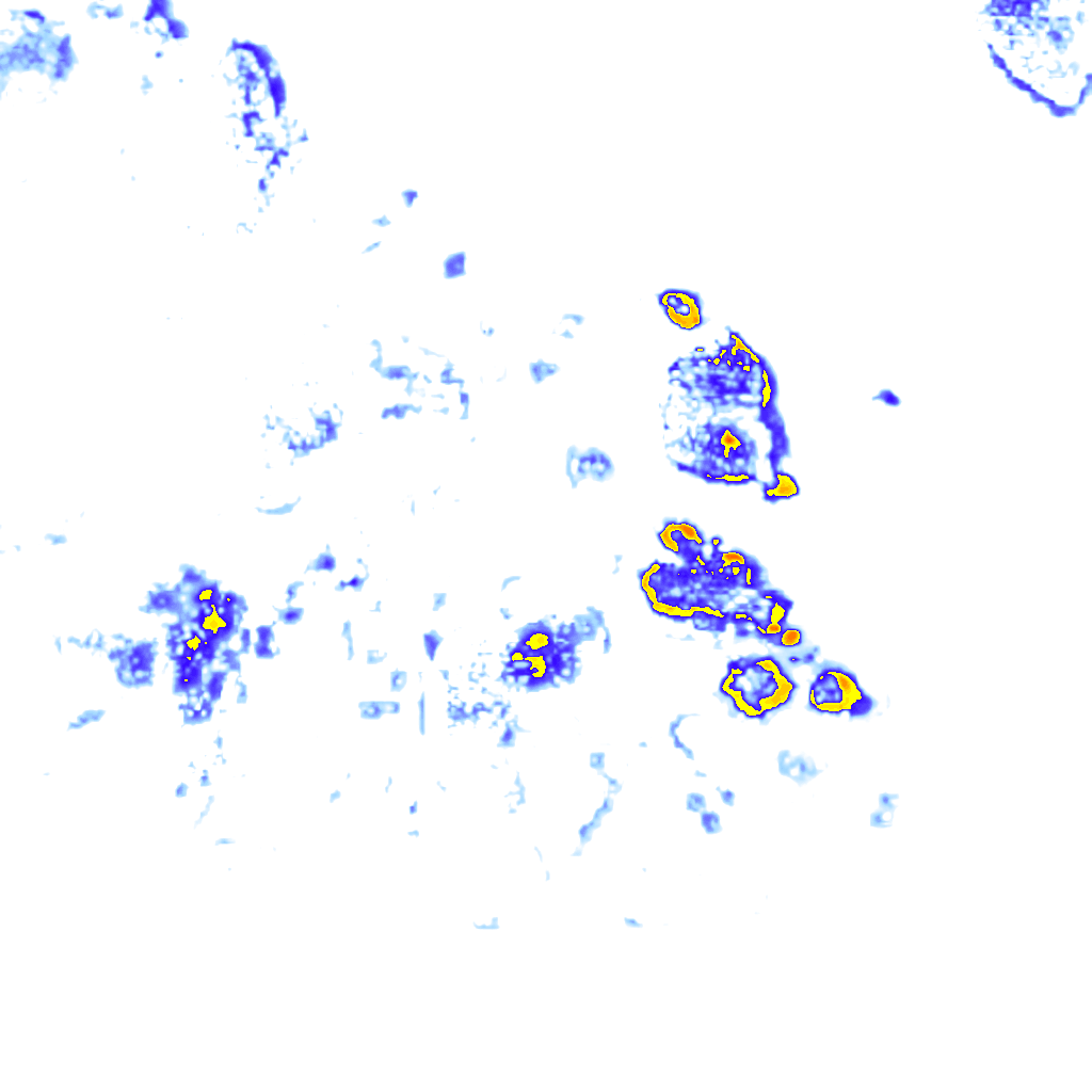 rainLayer