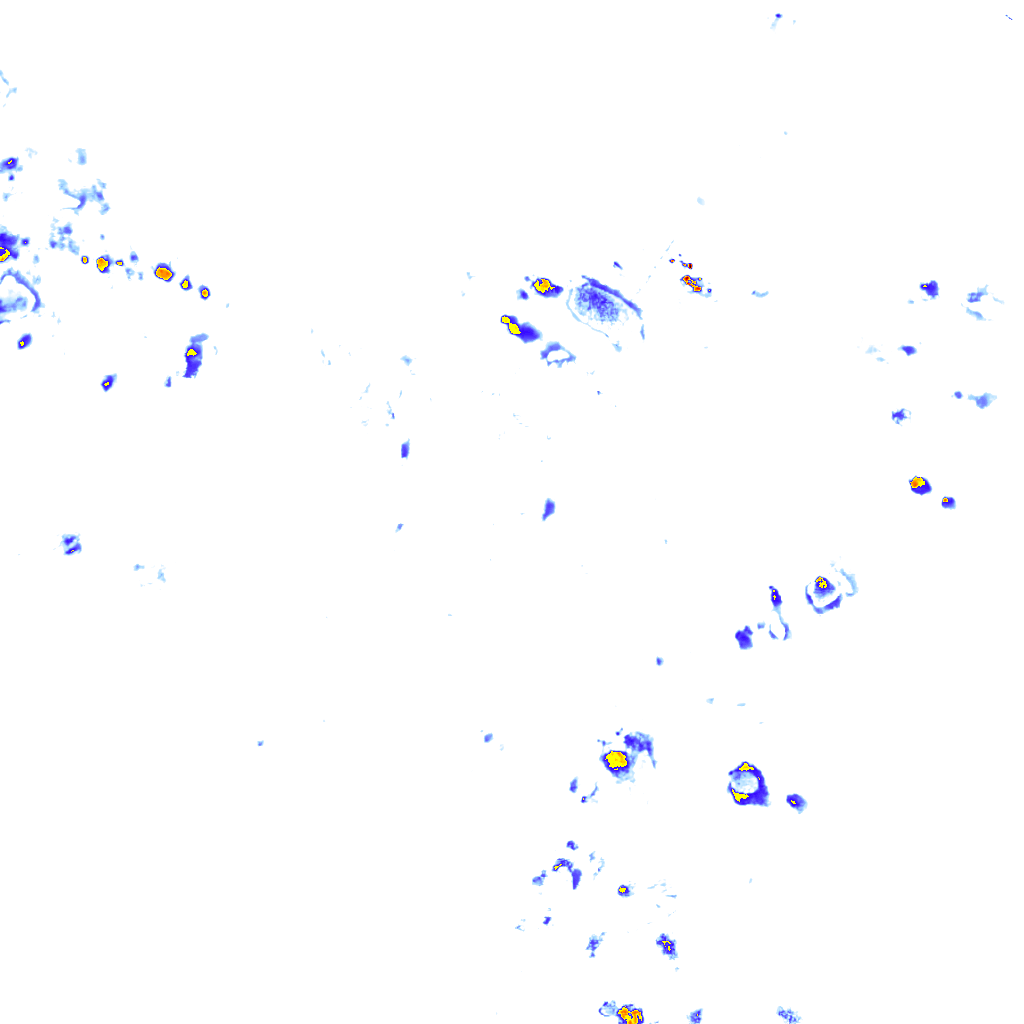 rainLayer