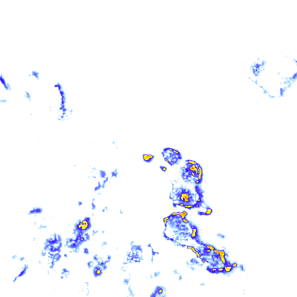 rainLayer