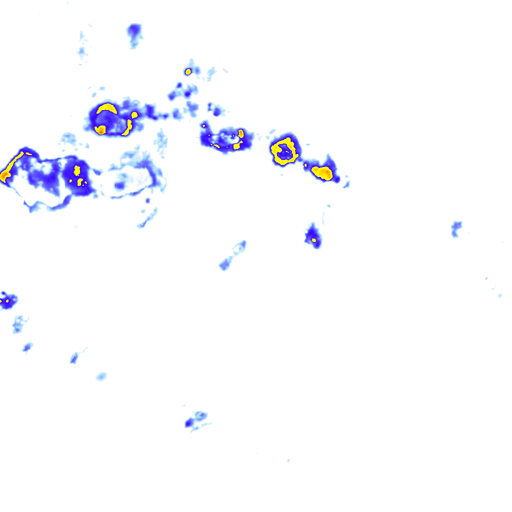 Image Layer