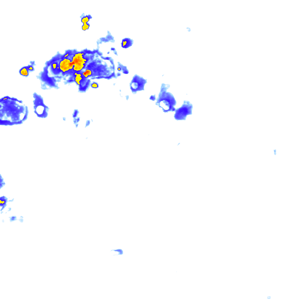 rainLayer