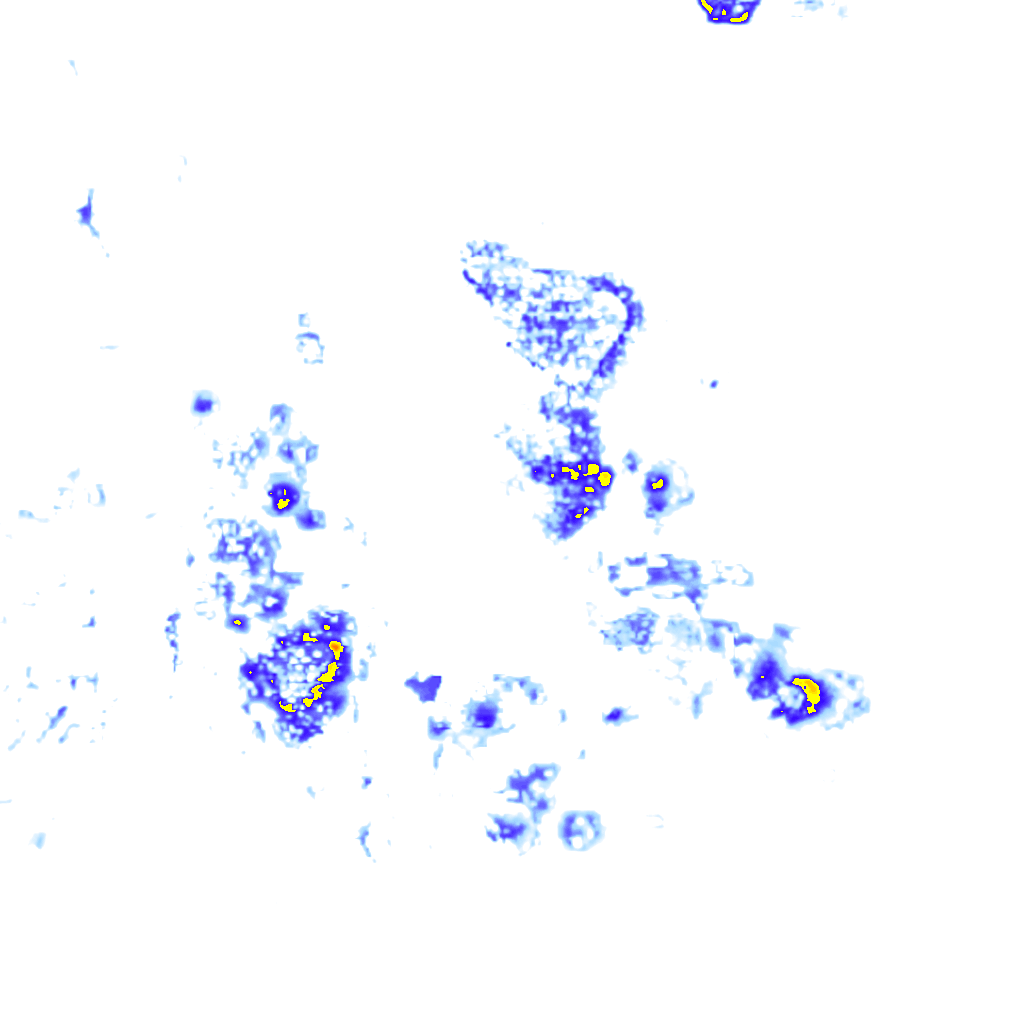 Image Layer