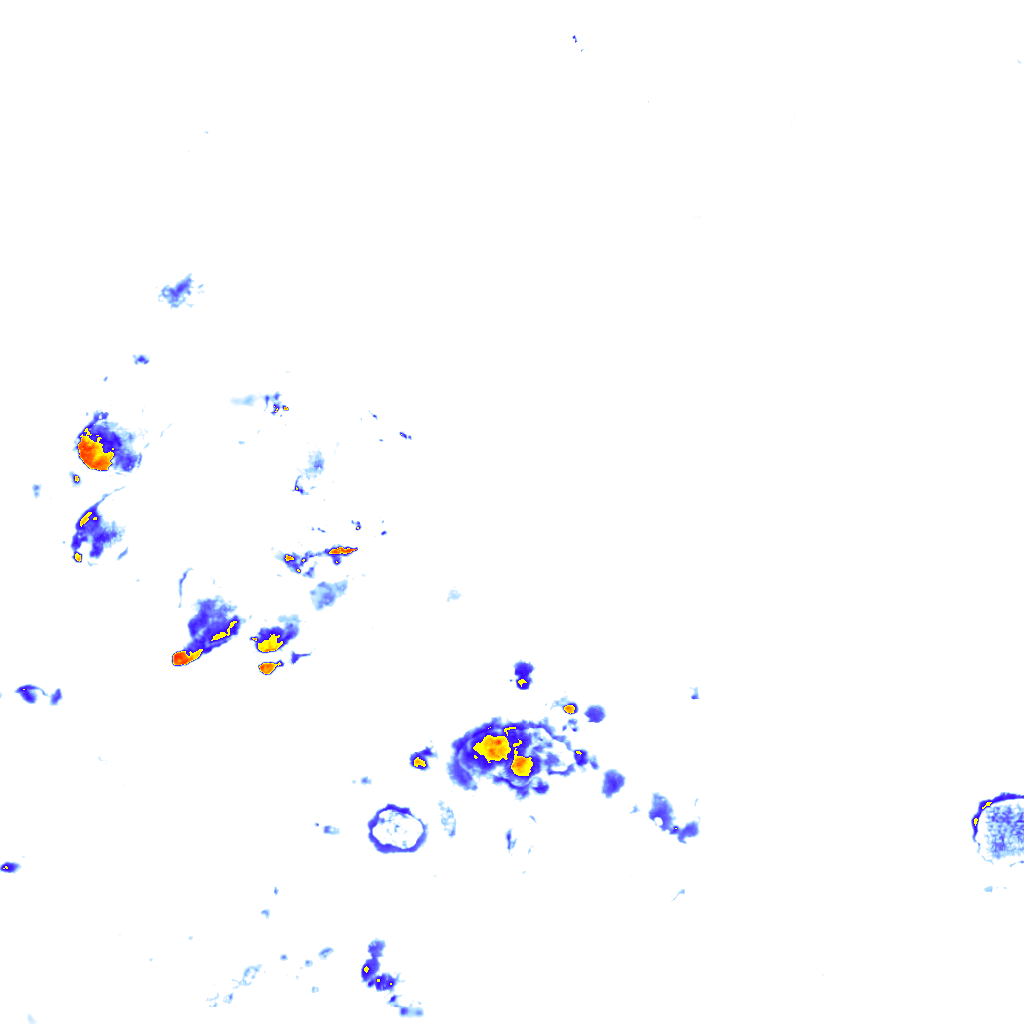 Image Layer