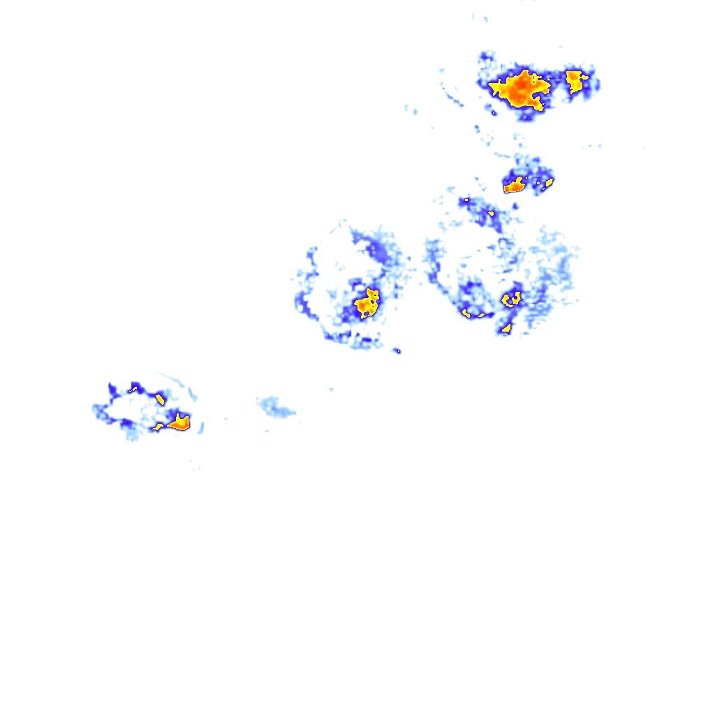 rainLayer