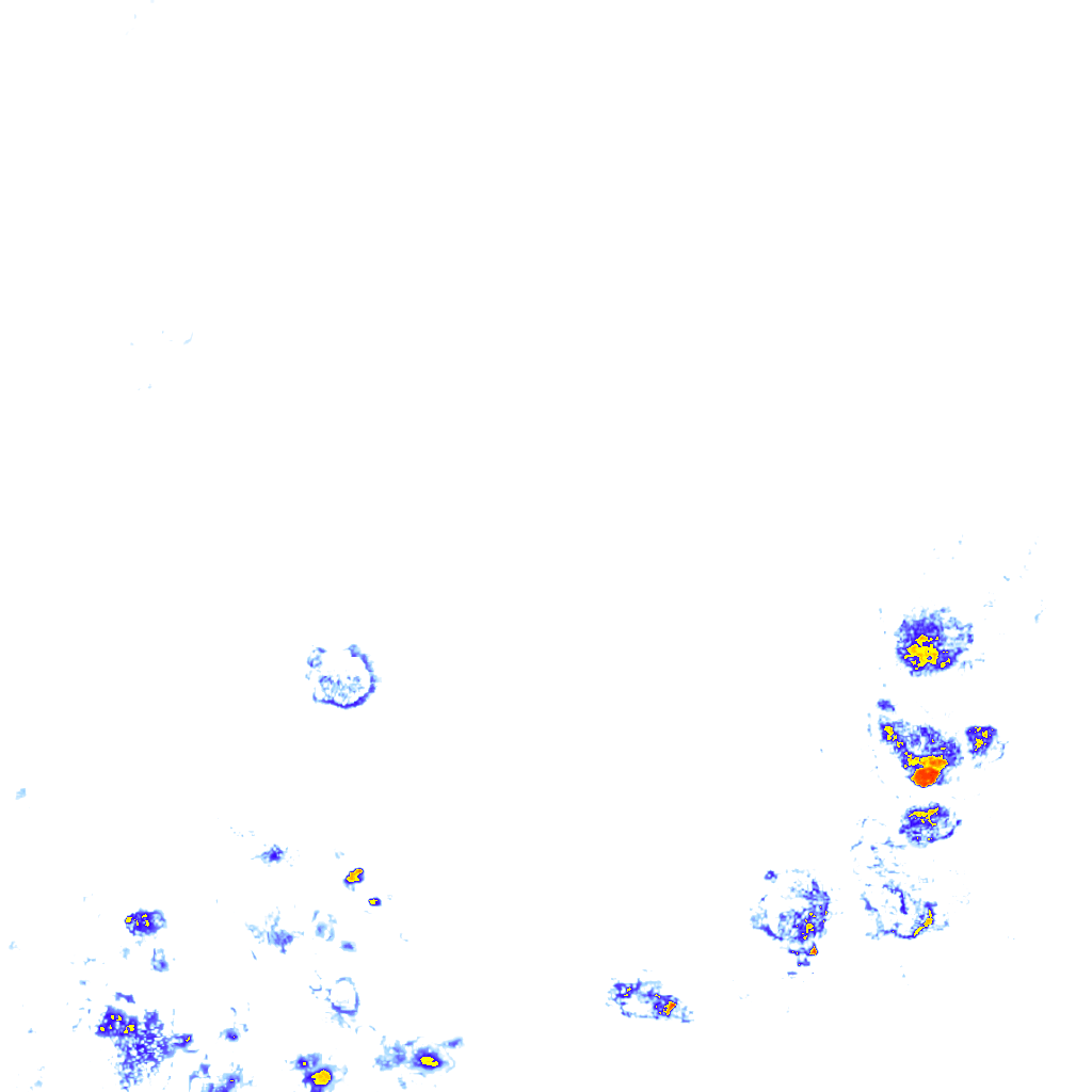 Image Layer