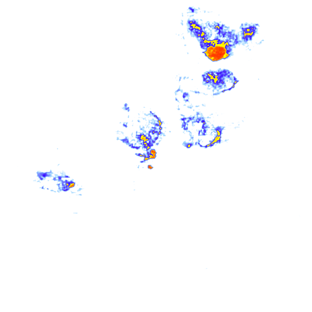 Image Layer