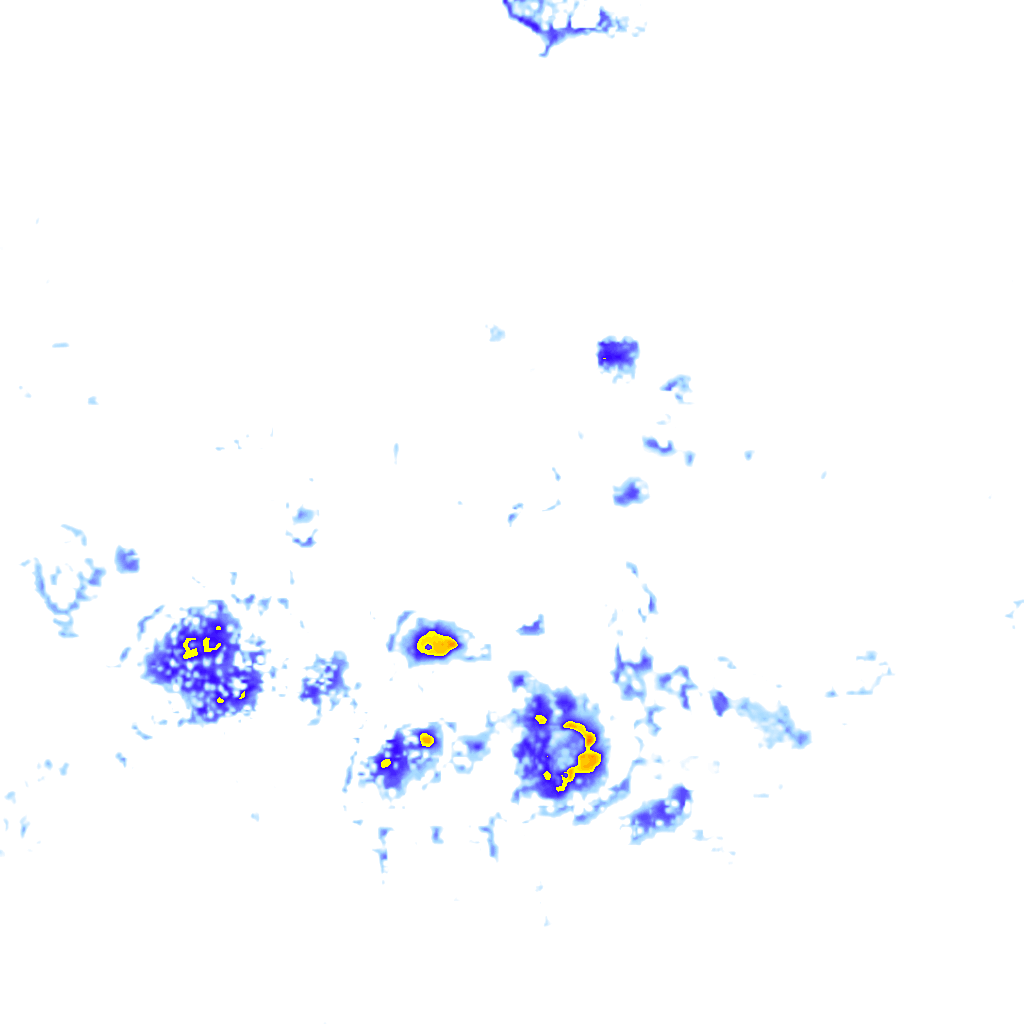 Image Layer