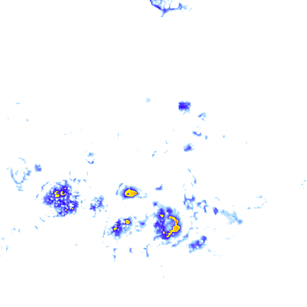Image Layer