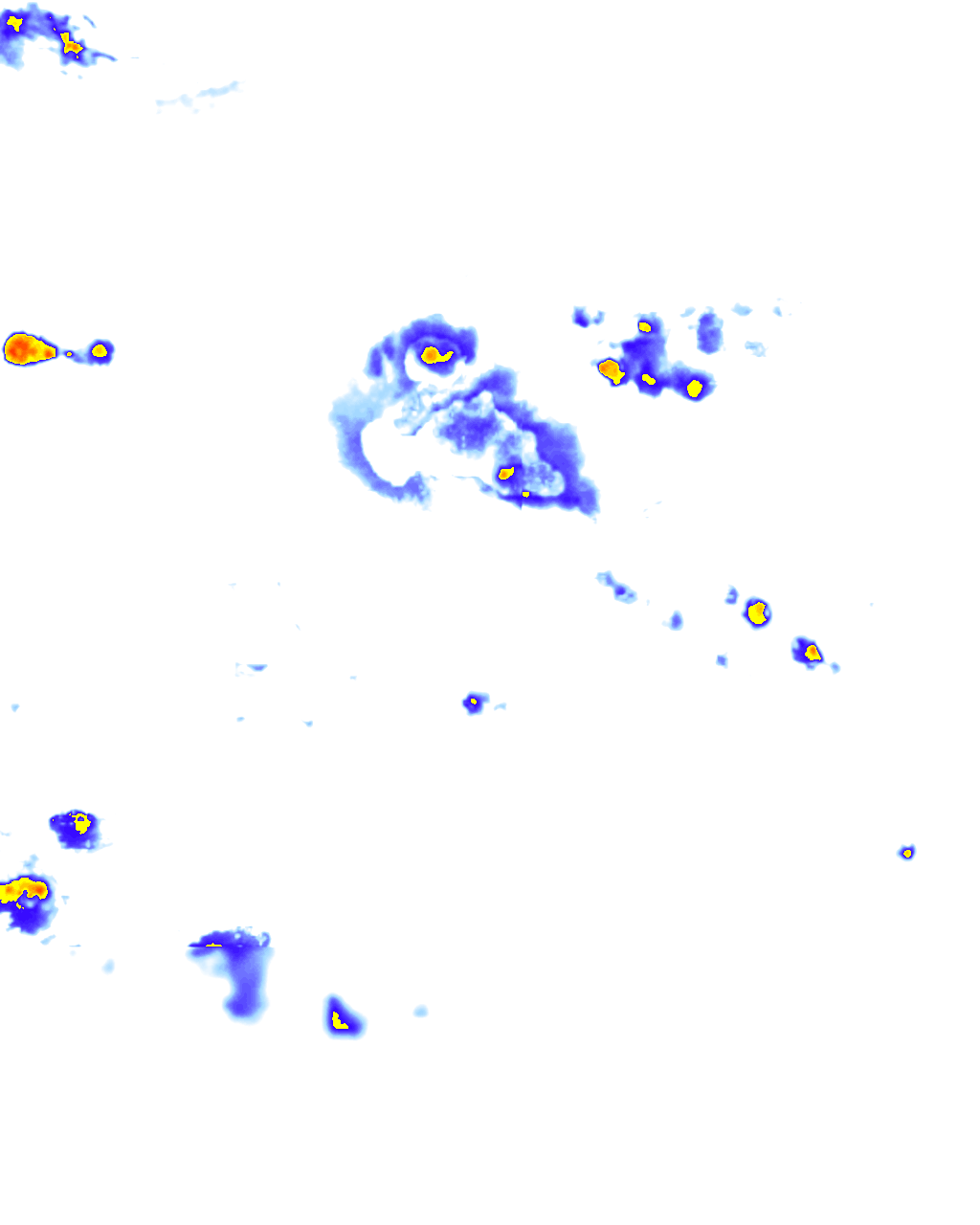 rainLayer