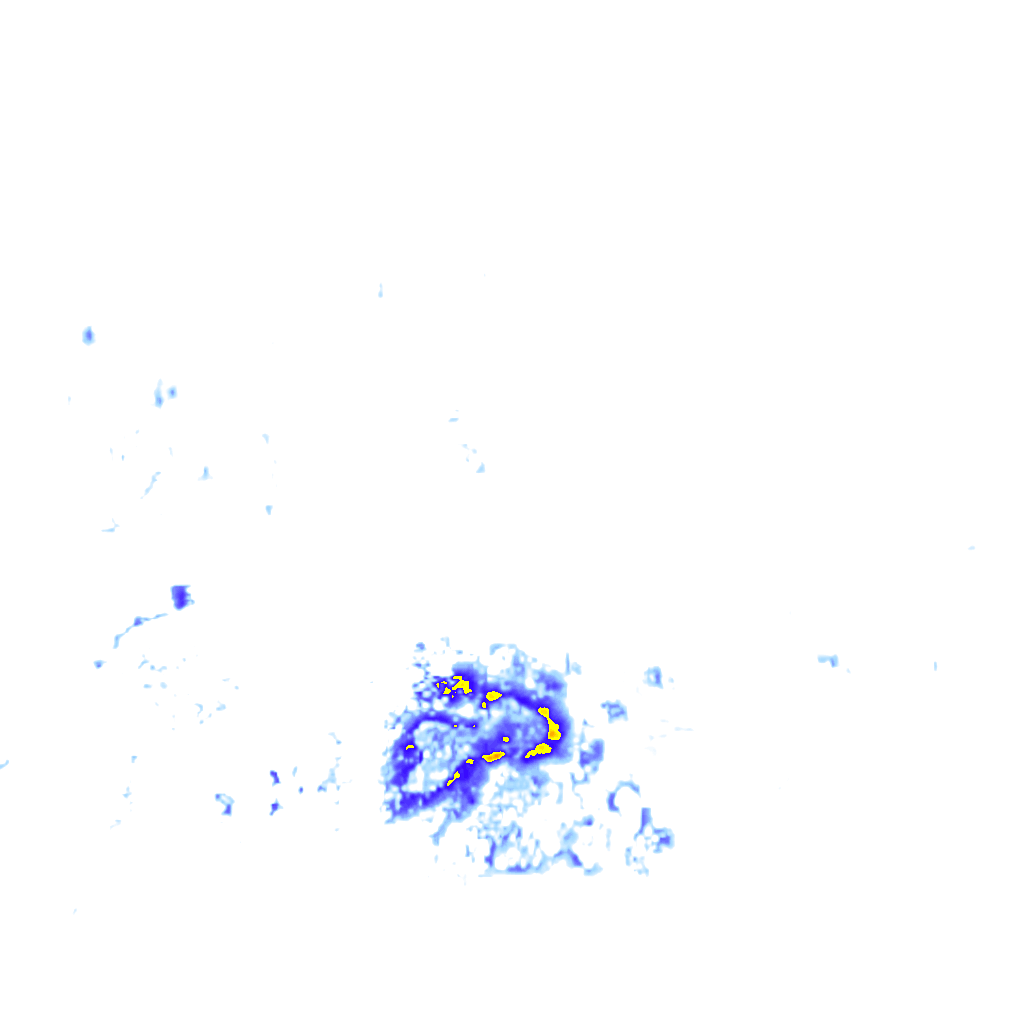 rainLayer