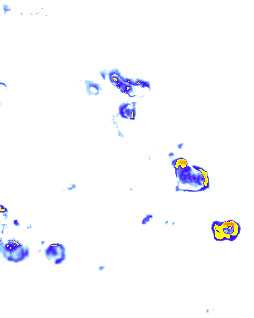 Image Layer