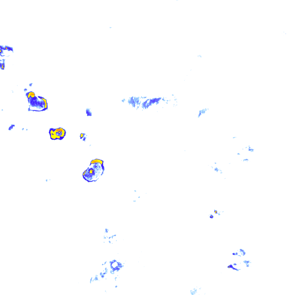 rainLayer