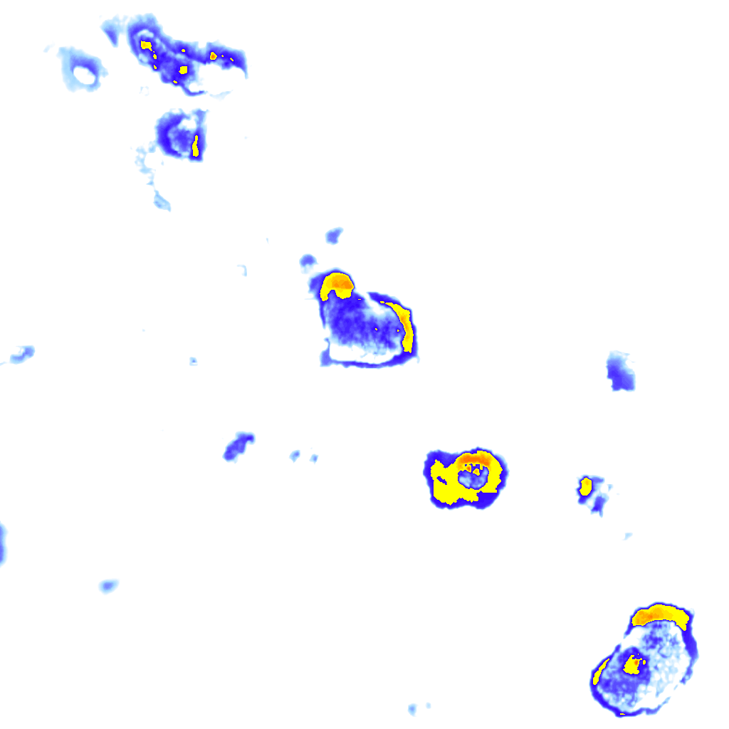 Image Layer