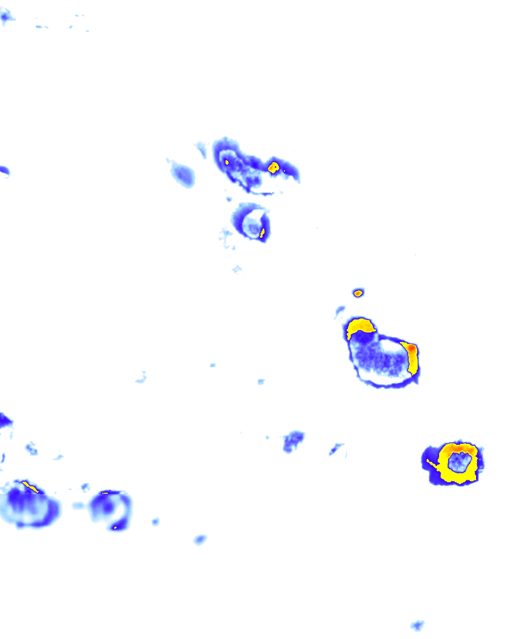 rainLayer