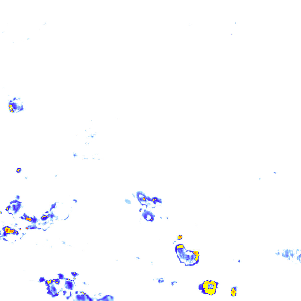 rainLayer