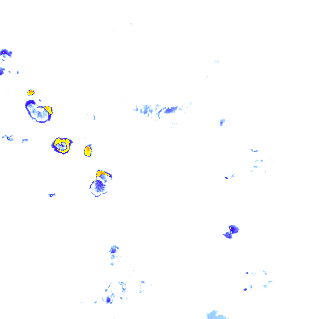 rainLayer