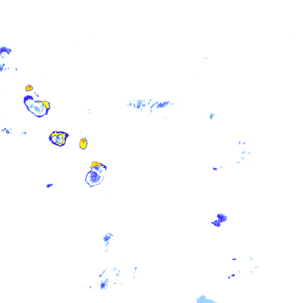 rainLayer