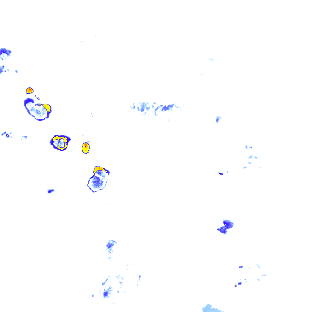 rainLayer