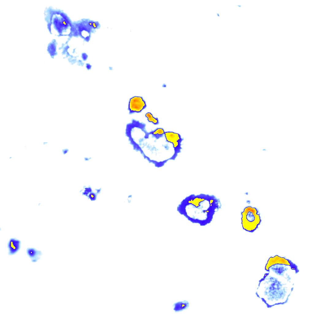 Image Layer