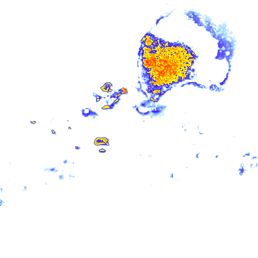 Image Layer