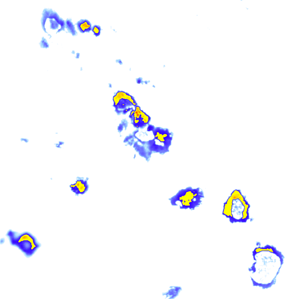 rainLayer