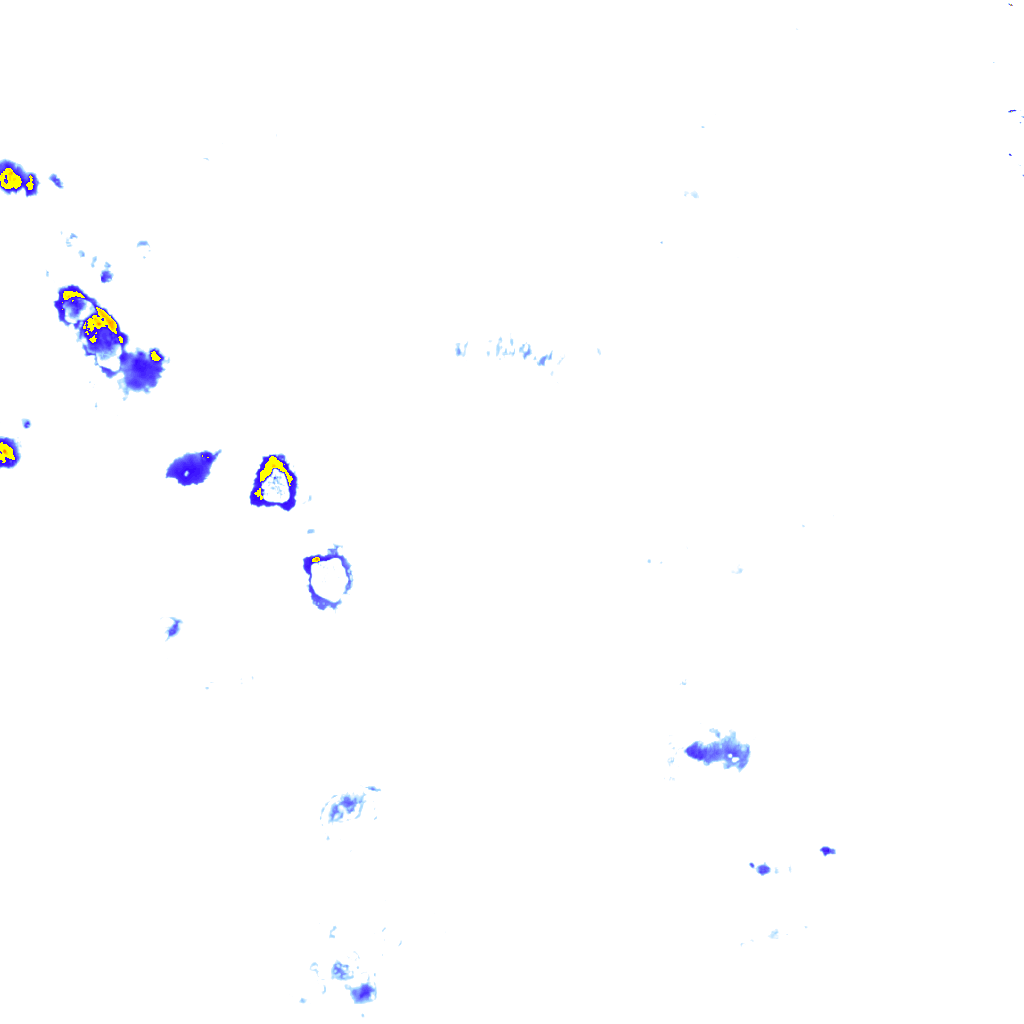 rainLayer