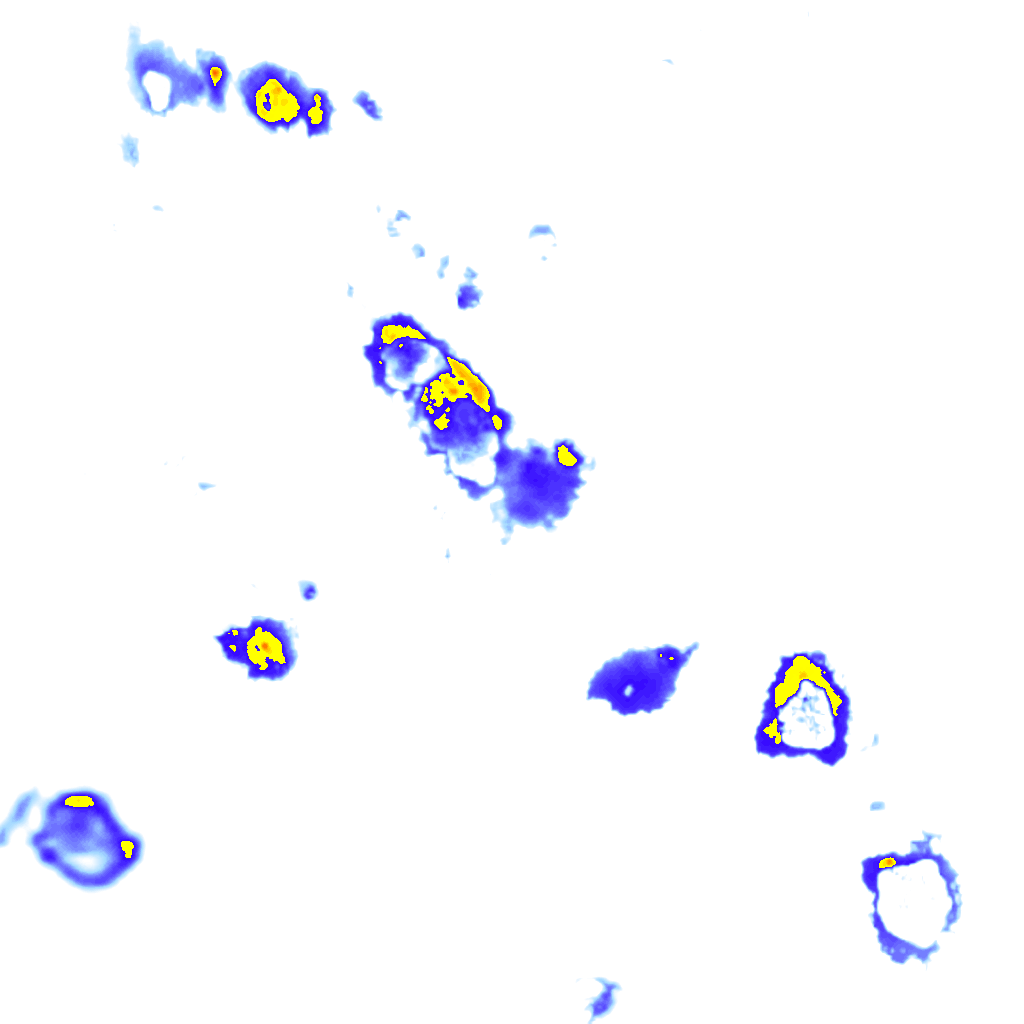 Image Layer