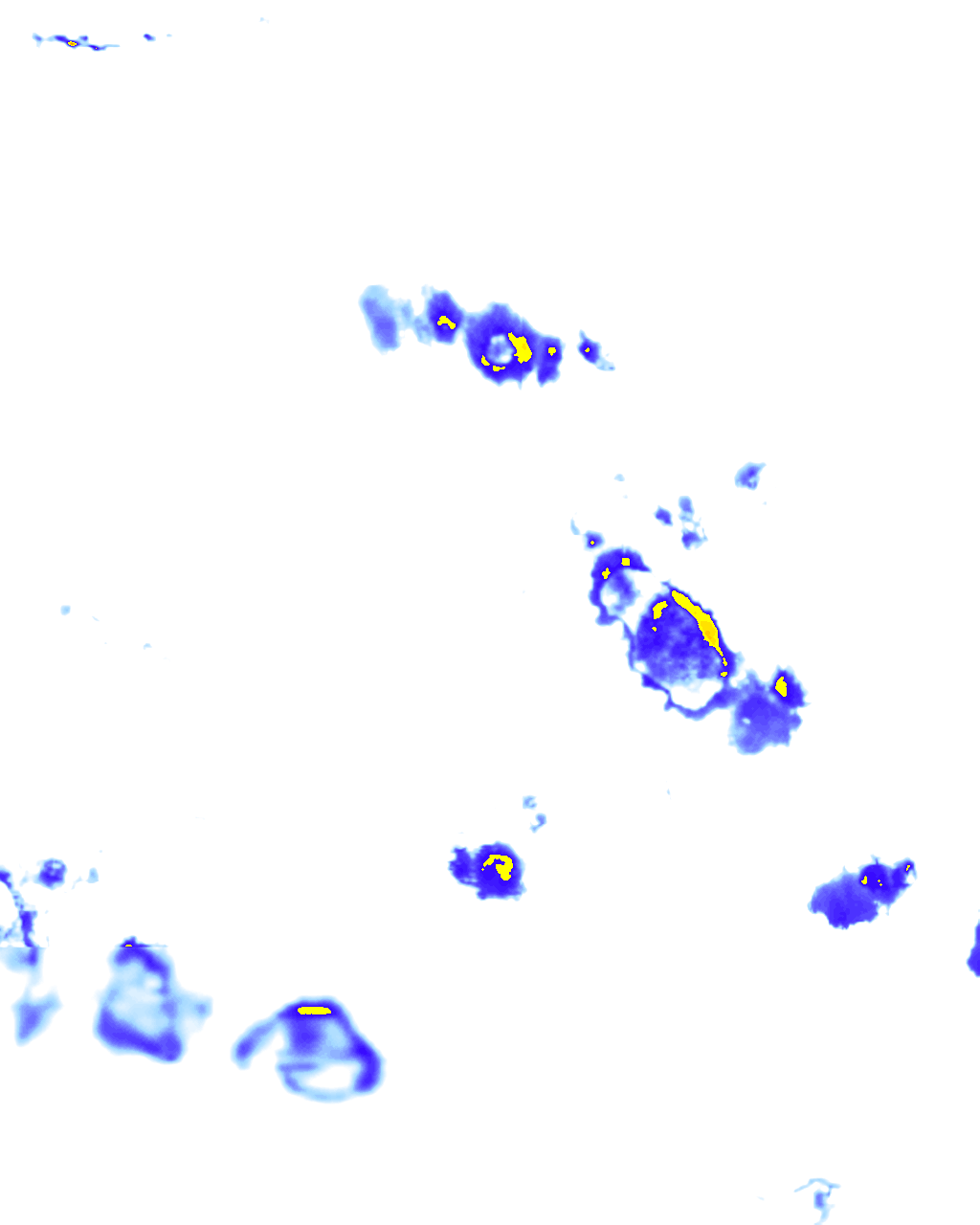 rainLayer