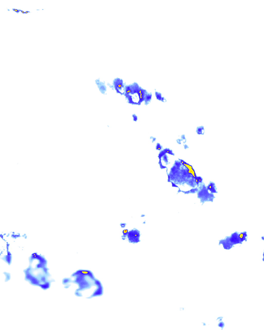rainLayer