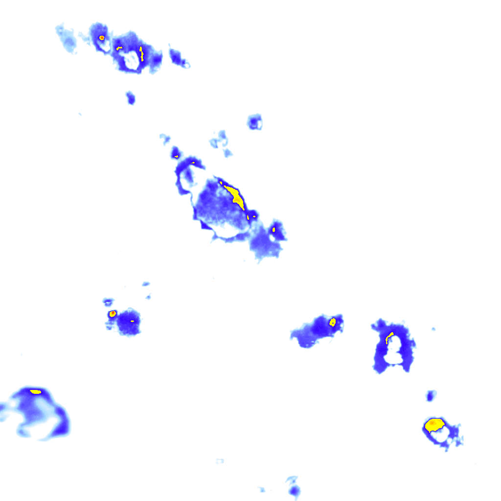 Image Layer