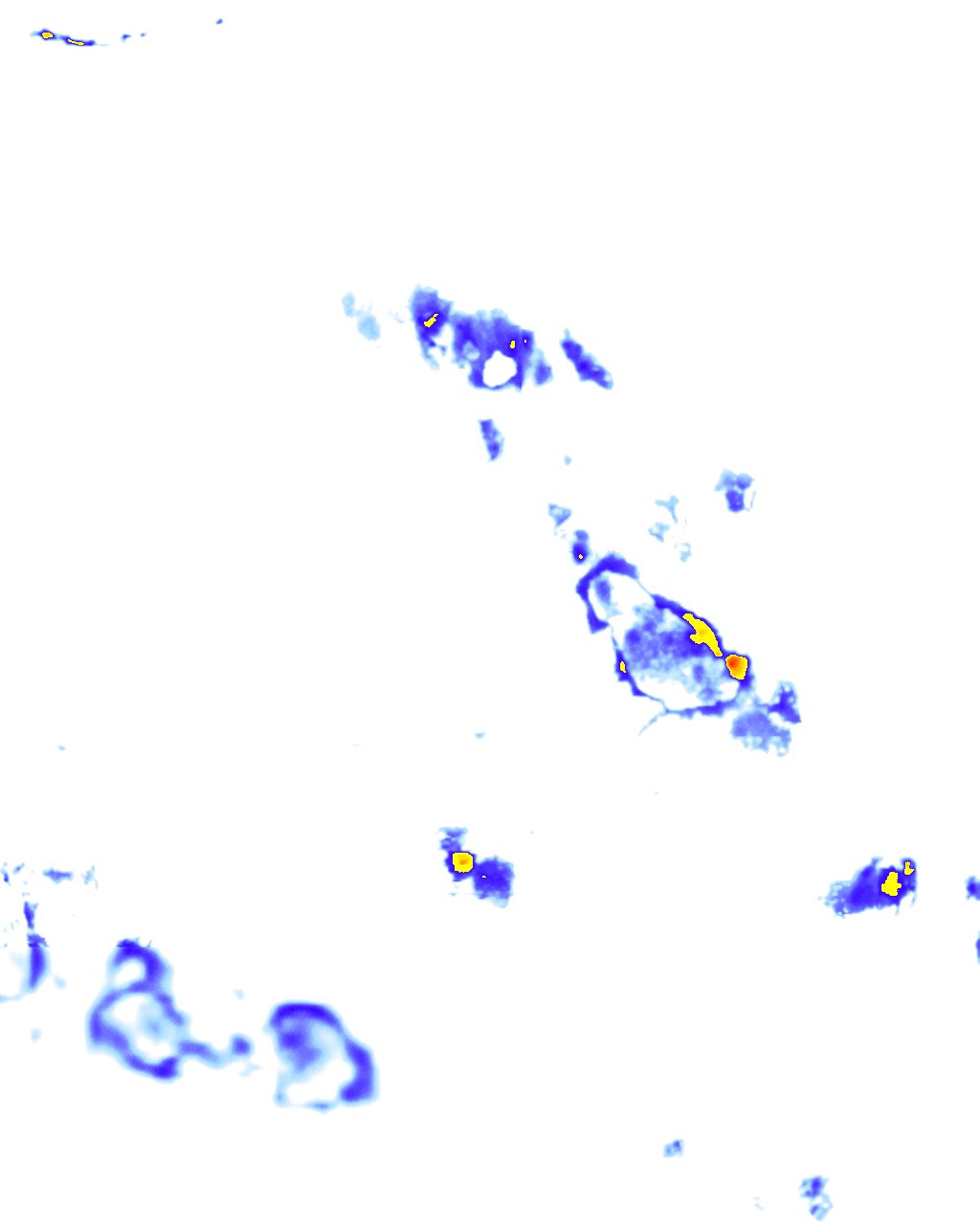 Image Layer