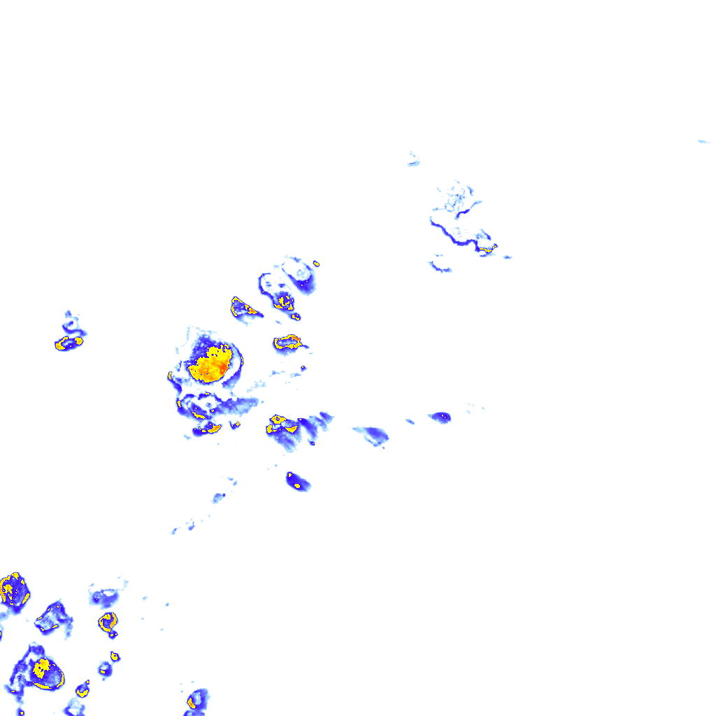 Image Layer