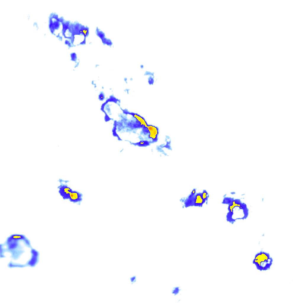 Image Layer
