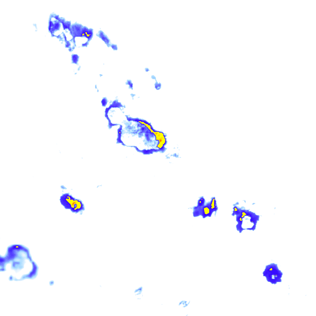 Image Layer
