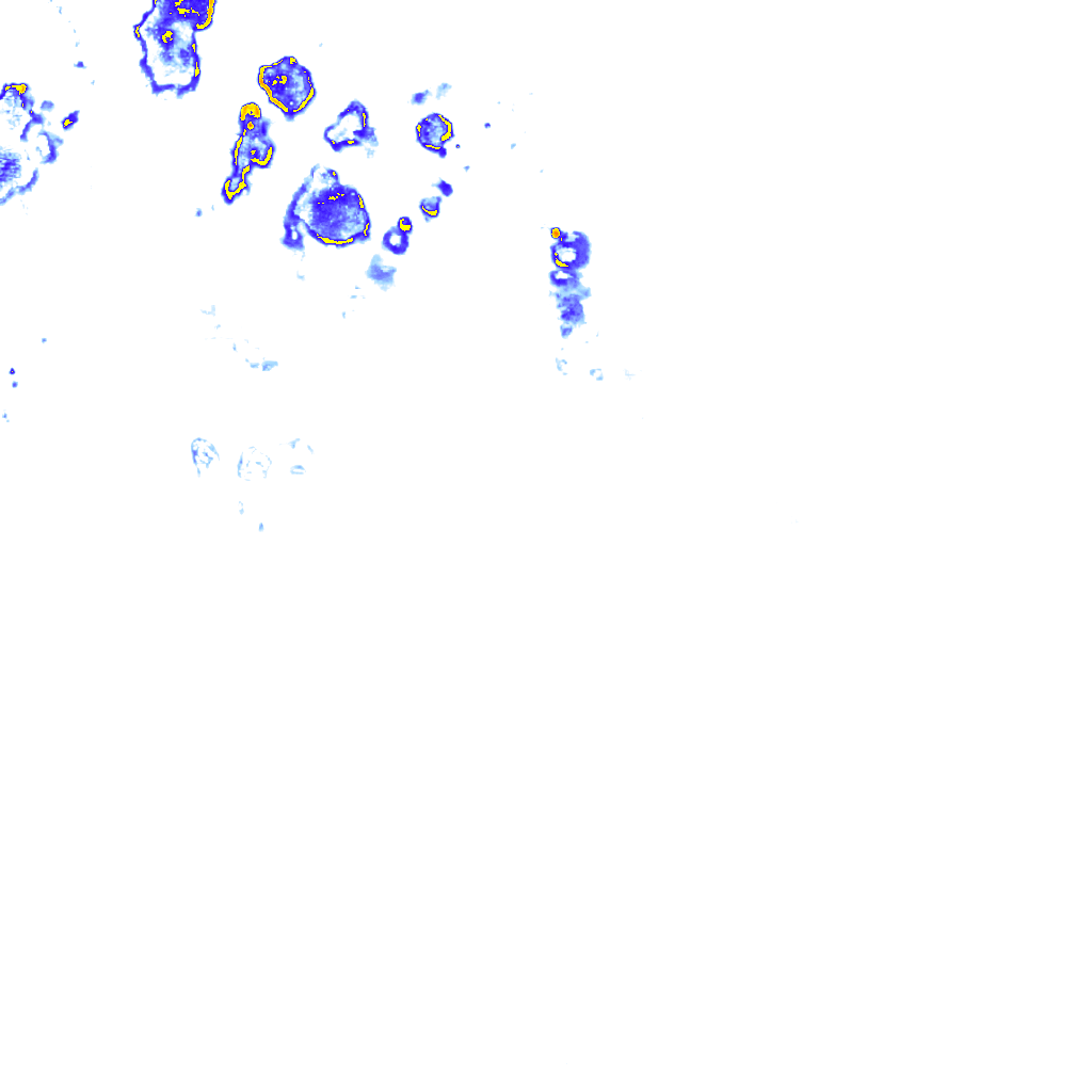 rainLayer