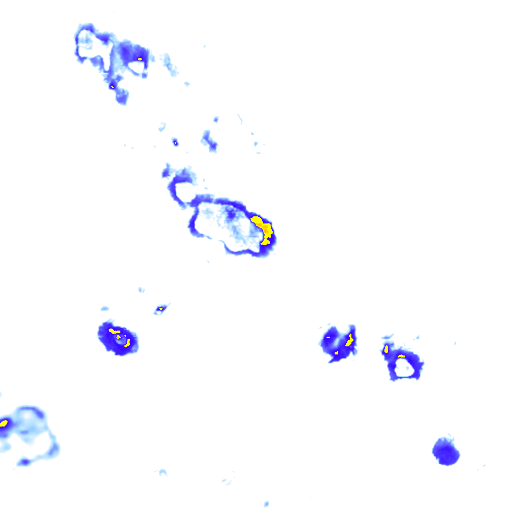 Image Layer