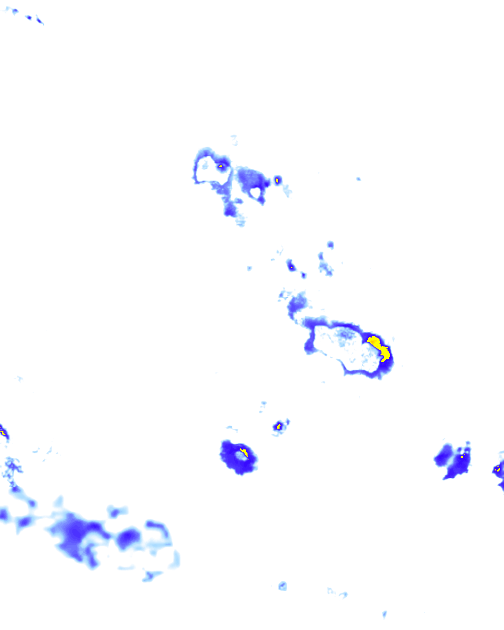 rainLayer