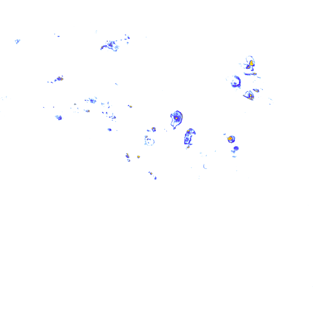 rainLayer