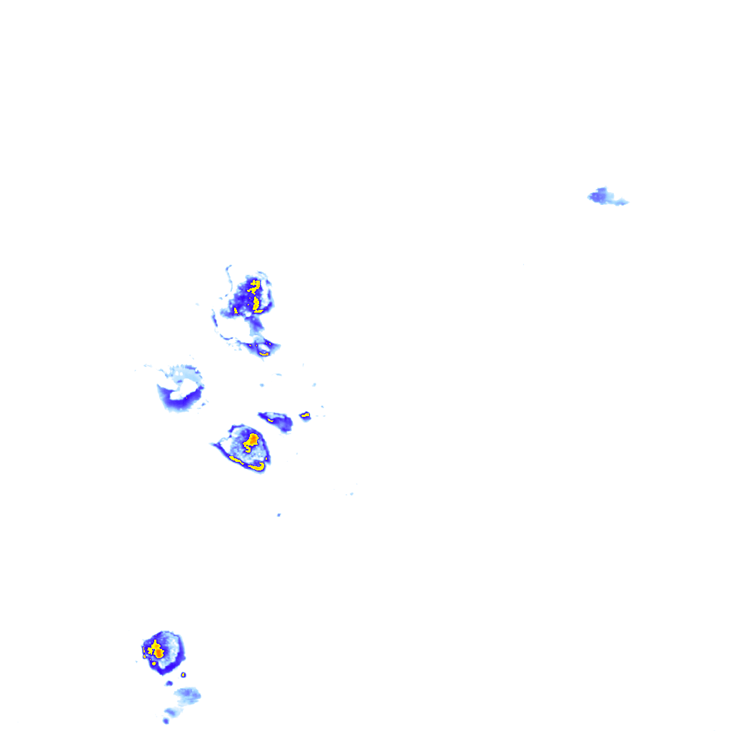 rainLayer