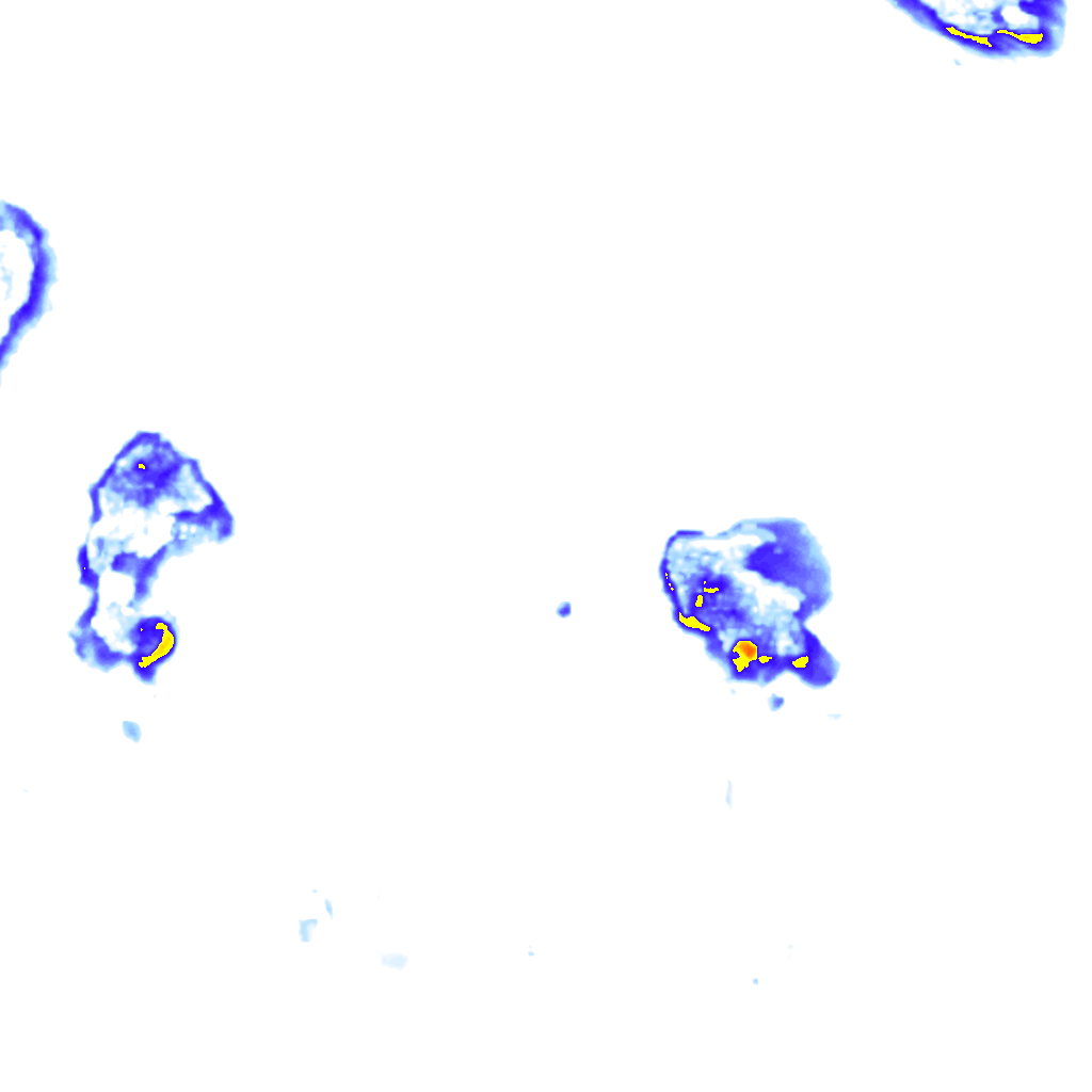 Image Layer