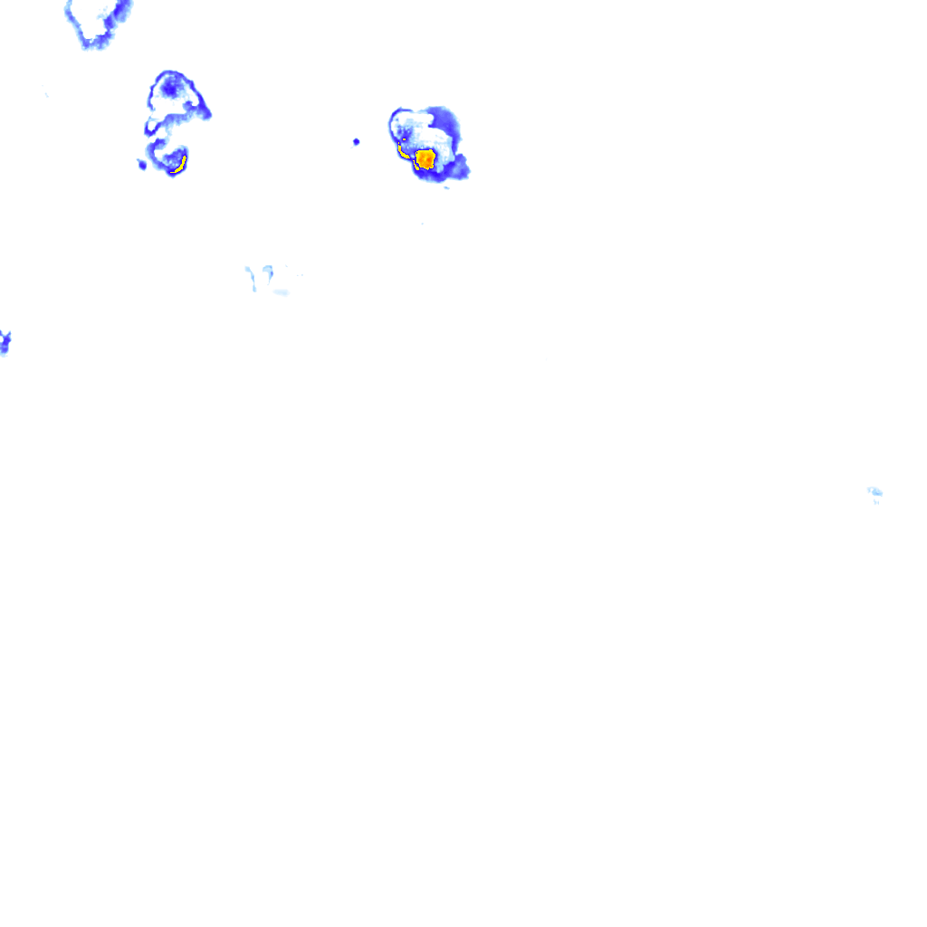 rainLayer