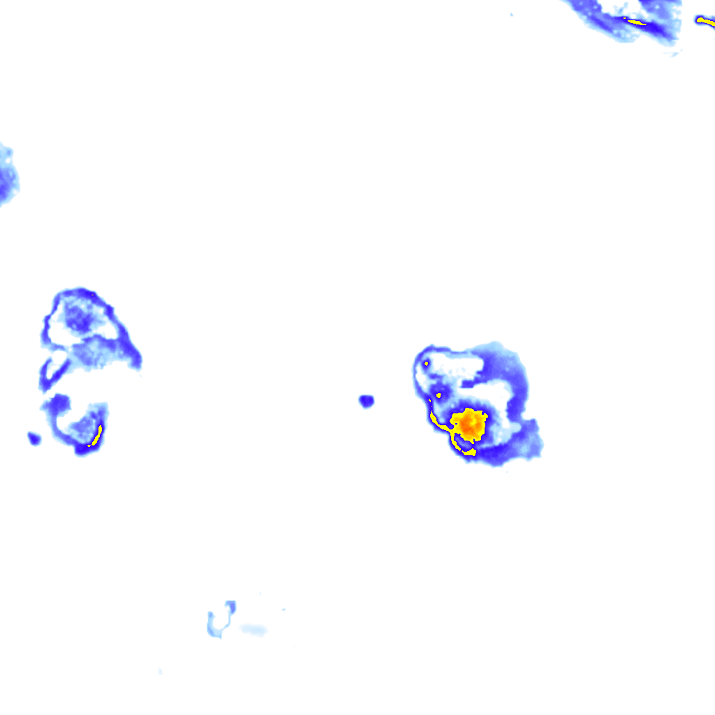 Image Layer