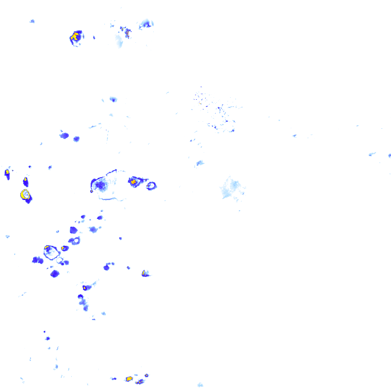 rainLayer